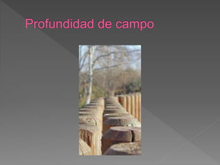 Planos fotográficos