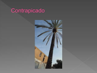 Planos fotográficos