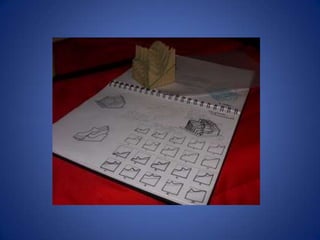 Planos seriados