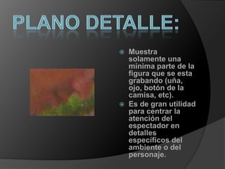 Plano detalle:Muestra solamente una mínima parte de la figura que se esta grabando (uña, ojo, botón de la camisa, etc).Es de gran utilidad para centrar la atención del espectador en detalles específicos del ambiente o del personaje.