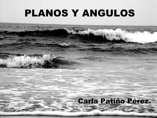PLANOS Y ANGULOS Carla Patiño Pérez. 