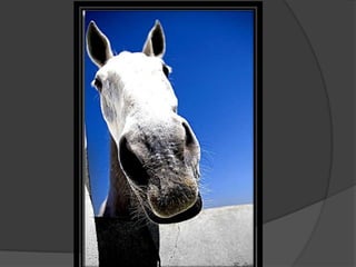 Planos y angulos recursos