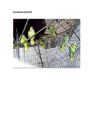 Contrapicado. Estilo HDR