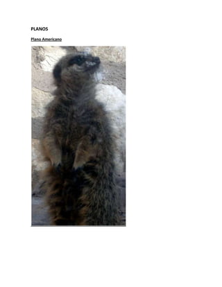 PLANOS
Plano Americano