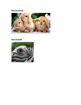 Plano de Conjunto
Plano de Detalle