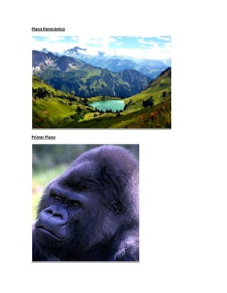 Plano Panorámico
Primer Plano
