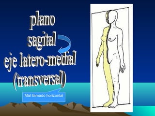 Mal llamado horizontal
 