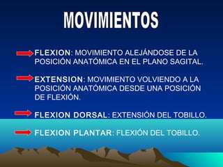FLEXION: MOVIMIENTO ALEJÁNDOSE DE LA
POSICIÓN ANATÓMICA EN EL PLANO SAGITAL.
EXTENSION: MOVIMIENTO VOLVIENDO A LA
POSICIÓN ANATÓMICA DESDE UNA POSICIÓN
DE FLEXIÓN.
FLEXION DORSAL: EXTENSIÓN DEL TOBILLO.
FLEXION PLANTAR: FLEXIÓN DEL TOBILLO.
 