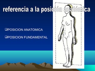 POSICION ANATOMICA
POSICION FUNDAMENTAL
 