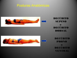 Posturas Anatómicas


                      DECÚBITO
                       SUPINO
                         o
                      DECÚBITO
                       DORSAL

                      DECÚBITO
                       PRONO
                         o
                      DECÚBITO
                      VENTRAL
 