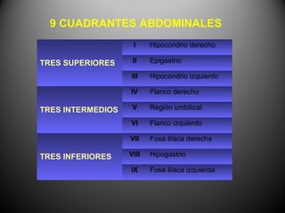 9 CUADRANTES ABDOMINALES
                    I     Hipocondrio derecho

TRES SUPERIORES     II    Epigastrio

                   III    Hipocondrio izquierdo

                   IV     Flanco derecho

TRES INTERMEDIOS    V     Región umbilical

                   VI     Flanco izquierdo

                   VII    Fosa ilíaca derecha

TRES INFERIORES    VIII   Hipogastrio

                   IX     Fosa ilíaca izquierda
 