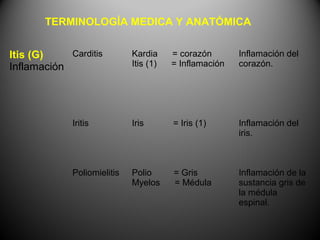 TERMINOLOGÍA MEDICA Y ANATÓMICA


Itis (G)    Carditis         Kardia     = corazón       Inflamación del
Inflamación                  Itis (1)   = Inflamación   corazón.




             Iritis          Iris       = Iris (1)      Inflamación del
                                                        iris.



             Poliomielitis   Polio      = Gris          Inflamación de la
                             Myelos     = Médula        sustancia gris de
                                                        la médula
                                                        espinal.
 