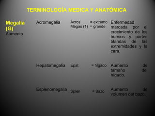 TERMINOLOGÍA MEDICA Y ANATÓMICA

Megalia     Acromegalia     Acros     = extremo Enfermedad
                            Megas (1) = grande marcada por       el
(G)
Aumento                                         crecimiento de los
                                                huesos y partes
                                                blandas de las
                                                extremidades y la
                                                cara.


            Hepatomegalia   Epat     = hígado   Aumento         de
                                                tamaño          del
                                                hígado.


            Esplenomegalia Splen     = Bazo     Aumento        de
                                                volumen del bazo.
 