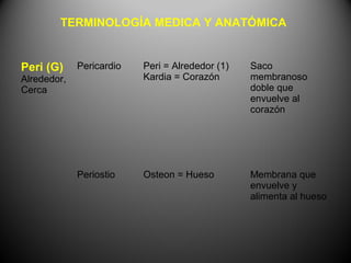 TERMINOLOGÍA MEDICA Y ANATÓMICA


Peri (G)     Pericardio   Peri = Alrededor (1)   Saco
Alrededor,                Kardia = Corazón       membranoso
Cerca                                            doble que
                                                 envuelve al
                                                 corazón




             Periostio    Osteon = Hueso         Membrana que
                                                 envuelve y
                                                 alimenta al hueso
 