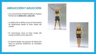 ABDUCCIÓN Y ADUCCIÓN 
• Los movimientos fundamentales en el plano 
frontal son la abducción y aducción. 
• La abducción se define como el movimiento 
de alejamiento desde la línea media del 
cuerpo. 
• El movimiento hacia la línea media del 
cuerpo se define como aducción. 
• El retorno desde una posición de abducción 
hacia la posición anatómica se considera 
aducción 
 