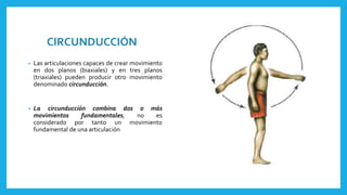 CIRCUNDUCCIÓN 
• Las articulaciones capaces de crear movimiento 
en dos planos (biaxiales) y en tres planos 
(triaxiales) pueden producir otro movimiento 
denominado circunducción. 
• La circunducción combina dos o más 
movimientos fundamentales, no es 
considerado por tanto un movimiento 
fundamental de una articulación 
