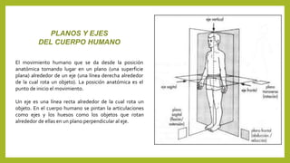 PLANOS Y EJES 
DEL CUERPO HUMANO 
El movimiento humano que se da desde la posición 
anatómica tomando lugar en un plano (una superficie 
plana) alrededor de un eje (una línea derecha alrededor 
de la cual rota un objeto). La posición anatómica es el 
punto de inicio el movimiento. 
Un eje es una línea recta alrededor de la cual rota un 
objeto. En el cuerpo humano se pintan la articulaciones 
como ejes y los huesos como los objetos que rotan 
alrededor de ellas en un plano perpendicular al eje. 
 