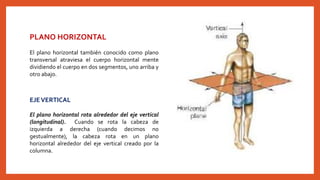 PLANO HORIZONTAL 
El plano horizontal también conocido como plano 
transversal atraviesa el cuerpo horizontal mente 
dividiendo el cuerpo en dos segmentos, uno arriba y 
otro abajo. 
EJEVERTICAL 
El plano horizontal rota alrededor del eje vertical 
(longitudinal). Cuando se rota la cabeza de 
izquierda a derecha (cuando decimos no 
gestualmente), la cabeza rota en un plano 
horizontal alrededor del eje vertical creado por la 
columna. 
 