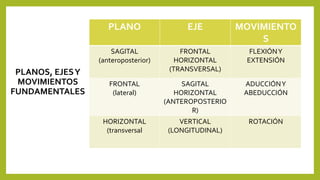 PLANO EJE MOVIMIENTO 
S 
SAGITAL 
(anteroposterior) 
FRONTAL 
HORIZONTAL 
(TRANSVERSAL) 
FLEXIÓN Y 
EXTENSIÓN 
FRONTAL 
(lateral) 
SAGITAL 
HORIZONTAL 
(ANTEROPOSTERIO 
R) 
ADUCCIÓNY 
ABEDUCCIÓN 
HORIZONTAL 
(transversal 
VERTICAL 
(LONGITUDINAL) 
ROTACIÓN 
PLANOS, EJES Y 
MOVIMIENTOS 
FUNDAMENTALES 
 