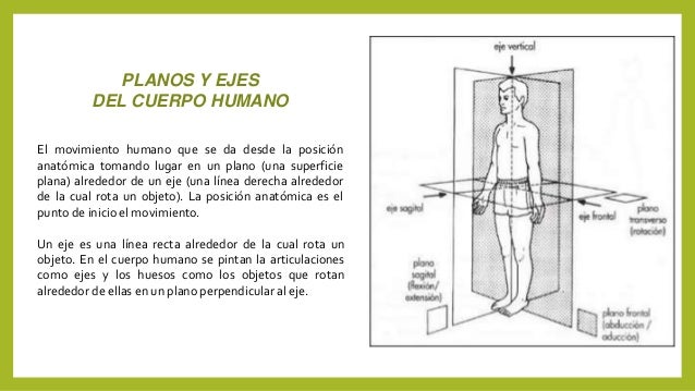 Planos y ejes corporal