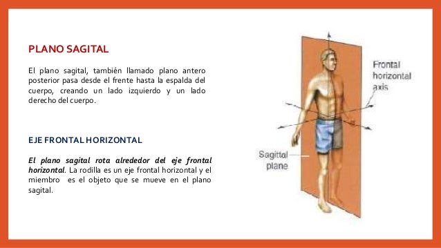Planos y ejes corporal