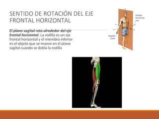 Sentido Horizontal planosyejesdelcuerpohumano-110521170000-phpapp01.ppt