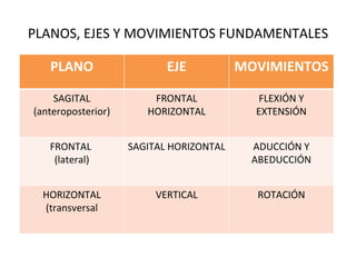 PLANOS, EJES Y MOVIMIENTOS FUNDAMENTALES PLANO EJE MOVIMIENTOS SAGITAL (anteroposterior) FRONTAL HORIZONTAL FLEXIÓN Y EXTENSIÓN FRONTAL  (lateral) SAGITAL HORIZONTAL ADUCCIÓN Y ABEDUCCIÓN HORIZONTAL (transversal VERTICAL ROTACIÓN 