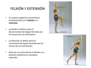 FELXIÓN Y EXTENSIÓN En el plano sagital los movimientos fundamentales son la  flexión  y la  extensión . La flexión se define como el decrecimiento del ángulo formado por los huesos de una articulación. La extensión se define como el incremento del ángulo formado por los huesos de una articulación. Retornar una articulación en flexión a su posición anatómica se considera extensión 