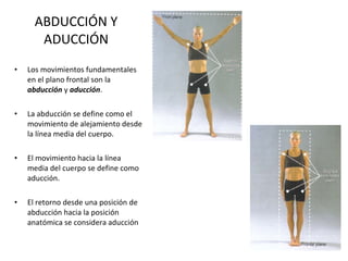 ABDUCCIÓN Y ADUCCIÓN Los movimientos fundamentales en el plano frontal son la  abducción  y  aducción . La abducción se define como el movimiento de alejamiento desde la línea media del cuerpo. El movimiento hacia la línea media del cuerpo se define como aducción. El retorno desde una posición de abducción hacia la posición anatómica se considera aducción 