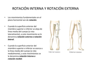 ROTACIÓN INTERNA Y ROTACIÓN EXTERNA Los movimientos fundamentales en el plano horizontal son de  rotación . Cuando la superficie anterior del miembro superior o inferior se aleja de línea media del cuerpo (o rota lateralmente), a este movimiento se le denomina  rotación externa o rotación lateral . Cuando la superficie anterior del miembro superior o inferior se acerca a la línea media del cuerpo (o rota medialmente), a este movimientos se le denomina  rotación interna o rotación medial . 