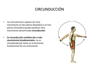 CIRCUNDUCCIÓN Las articulaciones capaces de crear movimiento en dos planos (biaxiales) y en tres planos (triaxiales) pueden producir otro movimiento denominado  circunducción . La circunducción combina dos o más movimientos fundamentales , no es considerado por tanto un movimiento fundamental de una articulación 