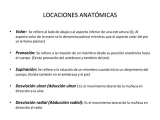LOCACIONES ANATÓMICAS Volar:  Se refiere al lado de abajo o al aspecto inferior de una estructura (Ej: Al aspecto volar de la mano se le denomina palmar mientras que el aspecto volar del pie se le llama plantar) Pronación:  Se refiere a la rotación de un miembro desde su posición anatómica hacia el cuerpo. (Existe pronación del antebrazo y también del pie) Supinación:  Se refiere a la rotación de un miembro cuando inicia un alejamiento del cuerpo. (Existe también en el antebrazo y el pie) Desviación ulnar (Aducción ulnar  ):Es el movimiento lateral de la muñeca en dirección a la ulna Desviación radial (Abducción radial):  Es el movimiento lateral de la muñeca en dirección al radio  