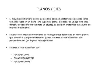 PLANOS Y EJES El movimiento humano que se da desde la posición anatómica es descrito como tomando lugar en un plano (una superficie plana) alrededor de un eje (una línea derecha alrededor de la cual rota un objeto). La posición anatómica es el punto de inicio el movimiento. Los músculos crean el movimiento de los segmentos del cuerpo en varios planos que dividen el cuerpo en diferentes partes. Los tres planos específicos son perpendiculares (en ángulos rectos) entre si. Los tres planos específicos son: PLANO SAGITAL PLANO HORIZONTAL PLANO FRONTAL 