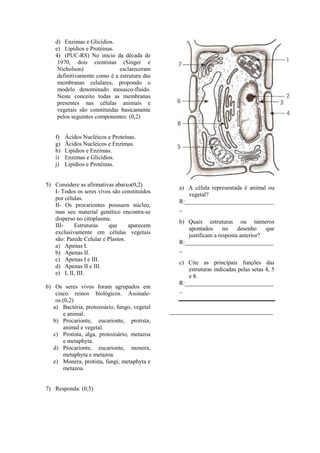 d) Enzimas e Glicídios.
   e) Lipídios e Protéinas.
   4) (PUC-RS) No início da década de
    1970, dois cientistas (Singer e
    Nicholson)               esclareceram
    definitivamente como é a estrutura das
    membranas celulares, propondo o
    modelo denominado mosaico-fluido.
    Neste conceito todas as membranas
    presentes nas células animais e
    vegetais são constituídas basicamente
    pelos seguintes componentes: (0,2)


   f)   Ácidos Nucléicos e Proteínas.
   g)   Ácidos Nucléicos e Enzimas.
   h)   Lipídios e Enzimas.
   i)   Enzimas e Glicídios.
   j)   Lipídios e Protéinas.


5) Considere as afirmativas abaixo(0,2)
                                                 a) A célula representada é animal ou
   I- Todos os seres vivos são constituídos
                                                    vegetal?
   por células.
                                                 R:______________________________
   II- Os procariontes possuem núcleo,
                                                 _
   mas seu material genético encontra-se
   disperso no citoplasma.
                                                 b) Quais estruturas ou números
   III-    Estruturas     que     aparecem
                                                    apontados      no    desenho    que
   exclusivamente em células vegetais
                                                    justificam a resposta anterior?
   são: Parede Celular e Plastos.
                                                 R:______________________________
   a) Apenas I.
                                                 _
   b) Apenas II.
   c) Apenas I e III.
                                                 c) Cite as principais funções das
   d) Apenas II e III.
                                                    estruturas indicadas pelas setas 4, 5
   e) I, II, III.
                                                    e 8.
                                                 R:______________________________
6) Os seres vivos foram agrupados em
                                                 _
    cinco reinos biológicos. Assinale-
    os.(0,2)
   a) Bactéria, protozoário, fungo, vegetal
       e animal.                              ___________________________________
   b) Procarionte, eucarionte, protista,
       animal e vegetal.
   c) Protista, alga, protozoário, metazoa
       e metaphyta.
   d) Procarionte, eucarionte, monera,
       metaphyta e metazoa.
   e) Monera, protista, fungi, metaphyta e
       metazoa.


7) Responda: (0,5)
 