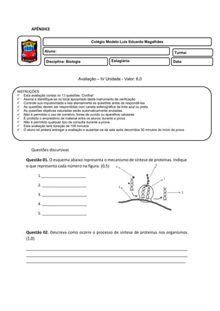 APÊNDICE

                                               Colégio Modelo Luís Eduardo Magalhães

                 Aluno:                                                                              Turma:

                  Disciplina: Biologia                      Estagiária:                             Data:



                                       Avaliação – IV Unidade - Valor: 6,0


INSTRUÇÕES:
 Esta avaliação consta de 13 questões. Confira!
 Assine e identifique-se no local apropriado deste instrumento de verificação
 Controle sua impulsividade e leia atentamente as questões antes de respondê-las
 As questões devem ser respondidas com caneta esferográfica de tinta azul ou preta.
 As questões objetivas rasuradas serão automaticamente anuladas.
 Não é permitido o uso de corretivo, fones de ouvido ou aparelhos celulares
 É proibido o empréstimo de material entre os alunos durante a prova
 Não é permitido qualquer tipo de consulta durante a prova.
 Esta avaliação terá duração de 100 minutos
 O aluno só poderá entregar a avaliação e ausentar-se da sala após decorridos 30 minutos do início da prova




         Questões discursivas

     Questão 01. O esquema abaixo representa o mecanismo de síntese de proteínas. Indique
     o que representa cada número na figura. (0,5)

             1.______________________

             2. ______________________

             3. ______________________

             4. ______________________

             5. ______________________



     Questão 02. Descreva como ocorre o processo de síntese de proteínas nos organismos.
     (1,0)

     _________________________________________________________________________
     _________________________________________________________________________
     ________________________________________________________________________
 