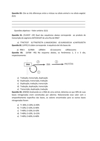 Questão 03. Cite as três diferenças entre a mitose na célula animal e na célula vegetal.
(0,5)

_________________________________________________________________________
_________________________________________________________________________
_________________________________________________________________________

  Questões objetivas – Valor unitário: (0,5)

Questão 01. (FUVEST –SP) Qual das sequências abaixo corresponde ao produto de
transcrição do segmeno AATCACGAT de uma fita de DNA?

     a) TTACTCGT b) TTAGTGCTA c) AAUCACGAU d) UUAGUGCUA e) AATGUGCTA
Questão 02. (UFPE) O códon corresponde à sequência de três bases do:

      a) RNA t   b) RNAr c)RNAm   d) Lisossomo   e)Ribossomo
Questão 03. (UFSM –RS) No esquema abaixo, os fenômenos 1, 2 e 3 são,
respectivamente:



                 DNA
                  AB




       a) Tradução, transcrição, duplicação
       b) Duplicação, transcrição, tradução
       c) Duplicação, tradução, transcrição
       d) Tradução, duplicação, transcrição
       e) Transcrição, duplicação, tradução
Questão 04. (ENEM) Analisando-se o DNA de uma animal, detectou-se que 40% de suas
bases nitrogenadas eram constituídas por adenina. Relacionando esse valor com o
emparelhamento específico das bases, os valores encontrados para as outras bases
nitrogenadas foram:

      a)   T= 40%; C=20%; G=40%
      b)   T=10%; C=10%; G=40%
      c)   T=40%; C=10%; G=10%
      d)   T=40%; C=10%; G=15%
      e)   T=40%; C=60%; G=60%
 