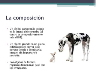 La composición 
• Un objeto parece más pesado 
en la lateral del encuadre (el 
centro es compositivamente 
más débil). 
• Un objeto grande en un plano 
estático posee mayor peso 
porque tiende a dominar la 
imagen sin importar su 
posición. 
• Los objetos de formas 
regulares tienen más peso que 
los irregulares. 
 