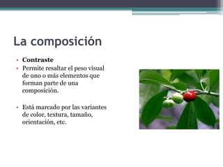 La composición 
• Contraste 
• Permite resaltar el peso visual 
de uno o más elementos que 
forman parte de una 
composición. 
• Está marcado por las variantes 
de color, textura, tamaño, 
orientación, etc. 
 
