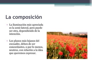 La composición 
• La iluminación más apreciada 
es la semi-lateral, pero puede 
ser otra, dependiendo de la 
intención. 
• Los planos más lejanos del 
encuadre, deben de ser 
concordantes, o por lo menos, 
neutros, con relación a la idea 
que queremos expresar. 
 