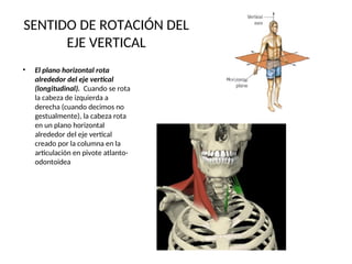 Sentido Horizontal Ppt sobre planos, ejes y movimientos del cuerpo | PPT