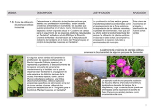 MEDIDA DESCRIPCIÓN JUSTIFICACIÓN APLICACIÓN
1.6. Evitar la utilización
de plantas exóticas
invasoras
Debe evitarse la utilización de las plantas exóticas que,
debido a su proliferación incontrolada, están creando
problemas ambientales en Cantabria y de aquellas que
puedan producirlos en el futuro. Como referencia de las
especies a evitar se puede utilizar el “Cuaderno de campo
para el seguimiento de las especies alóctonas naturalizadas
en Cantabria”, editado en el año 2005 por la Dirección
General de Montes y Conservación de la Naturaleza del
Gobierno de Cantabria en el marco del “Programa para el
control de las plantas invasoras en Cantabria”.
La proliferación de flora exótica genera Este criterio se
importantes problemas ambientales como recomienda en
el desplazamiento de la flora autóctona, el diseño y
la degradación de los hábitats naturales y planificación de
la pérdida de biodiversidad. Más que por nuevas zonas
su efecto sobre la biodiversidad local del verdes
parque, la utilización de plantas exóticas
invasoras se debe evitar para impedir su
propagación a espacios naturales y
seminaturales del municipio.
Localmente la presencia de plantas exóticas
amenaza la biodiversidad de algunos parques de Santander
En algunas zonas verdes de Santander la
proliferación de especies exóticas como el
Bambú Japonés (Fallopia japonica) ya
representa un problema, el desconocimiento de
la especie por parte del personal de
mantenimiento y la facilidad con la que se
dispersa están facilitando la propagación de
esta especie a los distintos parques de la
ciudad. Para esta especie, como para el
Plumero (Cortaderia selloana) y la Chilca
(Baccharis halimifolia), deberán aplicarse Un ejemplo es el de una pequeña población
programas específicos de eliminación en la red de Azucena Marina (Pancratium maritimun)
de zonas verdes urbanas, utilizando los localizada en la costa del parque de la
protocolos establecidos en el "Programa para el Magdalena y cuya conservación se puede ver
Control de Plantas Invasoras en Cantabria" amenazada por la expansión de la Uña de
Gato (Carpobrotus edulis) plantada como
ornamental en la zona.
12
 