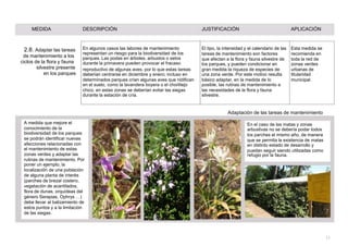 MEDIDA DESCRIPCIÓN JUSTIFICACIÓN APLICACIÓN
2.8. Adaptar las tareas
de mantenimiento a los
ciclos de la flora y fauna
silvestre presente
en los parques
En algunos casos las labores de mantenimiento
representan un riesgo para la biodiversidad de los
parques. Las podas en árboles, arbustos o setos
durante la primavera pueden provocar el fracaso
reproductivo de algunas aves, por lo que estas tareas
deberían centrarse en diciembre y enero; incluso en
determinados parques crían algunas aves que nidifican
en el suelo, como la lavandera boyera o el chorlitejo
chico, en estas zonas se deberían evitar las siegas
durante la estación de cría.
El tipo, la intensidad y el calendario de las Esta medida se
tareas de mantenimiento son factores recomienda en
que afectan a la flora y fauna silvestre de toda la red de
los parques, y pueden condicionar en zonas verdes
gran medida la riqueza de especies de urbanas de
una zona verde. Por este motivo resulta titularidad
básico adaptar, en la medida de lo municipal.
posible, las rutinas de mantenimiento a
las necesidades de la flora y fauna
silvestre.
Adaptación de las tareas de mantenimiento
A medida que mejore el En el caso de las matas y zonas
conocimiento de la arbustivas no se debería podar todos
biodiversidad de los parques los parches el mismo año, de manera
se podrán identificar nuevas que se permita la existencia de matas
afecciones relacionadas con en distinto estado de desarrollo y
el mantenimiento de estas puedan seguir siendo utilizadas como
zonas verdes y adaptar las refugio por la fauna.
rutinas de mantenimiento. Por
poner un ejemplo, la
localización de una población
de alguna planta de interés
(parches de brezal costero,
vegetación de acantilados,
flora de dunas, orquídeas del
género Serapias, Ophrys …)
debe llevar al balizamiento de
estos puntos y a la limitación
de las siegas.
21
 