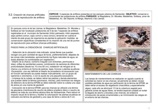 3.2. Creación de charcas artificiales
para la reproducción de anfibios
ESPECIE: 5 especies de anfibios presentes en los parques urbanos de Santander OBJETIVO: conservar e
incrementar las poblaciones de anfibios PARQUES: la Magdalena, Dr. Morales, Mataleñas, Sotileza, pinar de
Mataleñas, Av. del Deporte, la Marga, Altamira o las Llamas.
En parques como el de las Llamas, la Magdalena, Mataleñas, Dr. Morales y
Sotileza se han localizado poblaciones de 5 de las 7 especies de anfibios
registradas en el municipio de Santander (tritón palmeado, tritón jaspeado,
sapo partero común, sapo común y rana común), teniendo en cuenta el
interés de este grupo de organismos se plantea la aplicación medidas de
conservación específicas consistentes en la creación de una red de puntos
de reproducción para anfibios (charcas artificiales).
PASOS PARA LA CREACIÓN DE CHARCAS ARTIFICIALES
- Selección de la ubicación más indicada: zonas llanas que puedan
recoger una gran cantidad de agua de lluvia, preferentemente alejadas de
las zonas más transitadas, aprovechando los flujos naturales de agua, en
áreas abiertas (no sombreadas por vegetación).
- Diseño de la charca: contorno irregular (con entrantes, penínsulas e
islas), orillas de pendientes suaves, combinación de sectores de diferentes
profundidades (desde los 10 a los 60 cm), instalación de refugios en la
charca y su entorno en forma de piedras, tejas, troncos o plantas acuáticas.
-Excavación: una vez definido el diseño se procederá a la excavación que
en función del tamaño se puede realizar manualmente, con un grupo de
operarios o voluntarios, o con la ayuda de una pequeña excavadora.
- Limpieza de la cubeta: se deben retirar las piedras y demás elementos
que puedan dañar la lámina (pinchazos, roturas), para minimizar los riesgos
de deterioro de la lámina EPDM se debe extender sobre la cubeta una capa
de arena y/o una manta de geotextil
- Colocación de la lámina EPDM: para las charcas se utilizará una lámina
de giscolene (membrana de caucho de etileno propileno dieno o caucho de
etileno) se trata de una lámina atóxica libre de nitrosaminas. Para reducir el
impacto visual de la lámina y facilitar la colonización de plantas acuáticas se
colocará una lámina de geotextil y una capa de tierra o arena de 5 cm.
MANTENIMIENTO DE LAS CHARCAS
Las tareas de mantenimiento se realizarán en agosto cuando la
actividad es menor en las charcas: anualmente se deben revisar
posibles pérdidas de agua por perforación de la lámina de EPDM, se
debe retirar el exceso de vegetación (macrófitos y especialmente
algas), cada año se eliminará 1/3 de la cobertura vegetal para
generar zonas de aguas libres, se tendrá especial cuidado en evitar
la llegada de abono y biocidas a las charcas, se evitará la
introducción de peces ornamentales y se minimizarán las siegas en
el entorno de las charcas.
32
 
