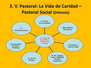 3. V. Pastoral: La Vida de Caridad –
Pastoral Social (Diócesis)
P.
Penitenciaria
Formación
Social y
Política
P. de la
Mujer
P. de Salud,
Vida, DDHH,
Medio
Ambiente
Trabajo y
Desarrollo
Movilidad
Humana
Caritas
Parroquial
3. Vida de
Caridad.
Pastoral
Social
 