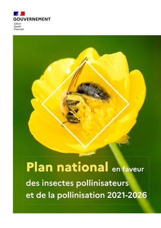 Plan national en faveur
des insectes pollinisateurs
et de la pollinisation 2021-2026
 