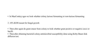 • In MacConkey agar we look whether colony lactose fermenting or non-lactose fermenting
3. 10% KOH mount for fungal growth
• Then after again do gram smear from colony to look whether gram positive or negative cocci or
bacilli.
• Then after obtaining bacterial colony antimicrobial susceptibility done using Kirby-Bauer disk
diffusion test.
 