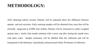 METHODOLOGY:
After obtaining inform consent ,Patients will be educated about the difference between
sputum and oral secretion. Early morning samples will be obtained from cases that will be
clinically diagnosed as COPD And Asthma. Patients will be instructed to collect coughed
sputum into a sterile wide mouth container with a screw cap after rinsing the mouth twice
with plain water. Sample containers will be labelled after the collection and will be
transported to the laboratory immediately and processed within 30 minutes of collection.
 