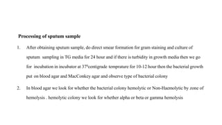 Processing of sputum sample
1. After obtaining sputum sample, do direct smear formation for gram staining and culture of
sputum sampling in TG media for 24 hour and if there is turbidity in growth media then we go
for incubation in incubator at 370centigrade temprature for 10-12 hour then the bacterial growth
put on blood agar and MacConkey agar and observe type of bacterial colony
2. In blood agar we look for whether the bacterial colony hemolytic or Non-Haemolytic by zone of
hemolysis . hemolytic colony we look for whether alpha or beta or gamma hemolysis
 