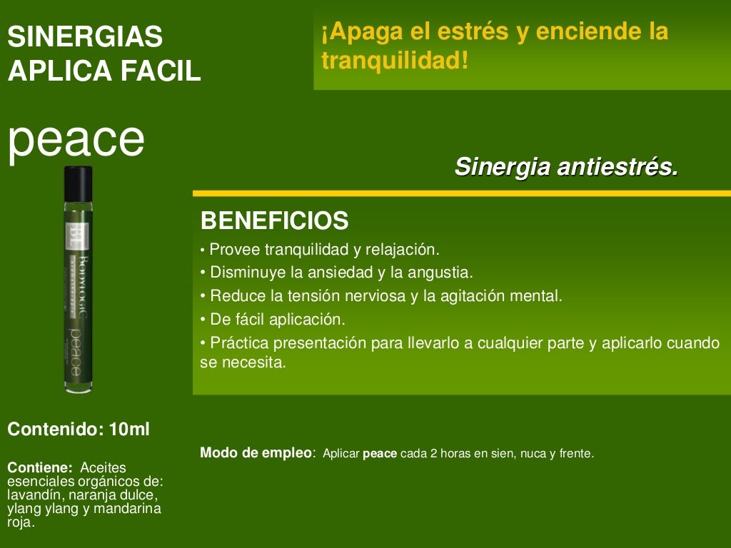 Plan producto negocio 2013