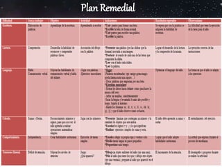 Plan Remedial
 